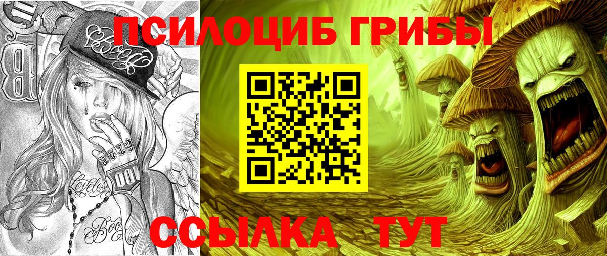 Галлюциногенные грибы MAGIC MUSHROOMS  Вход с VPN  Сокол  Галлюциногенные грибы мицелий 